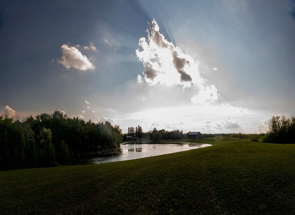 The Hummingbird Barn Venue | 5035 Wellington 125, Erin, ON L7J 2L9, Canada | Phone: (289) 349-1144