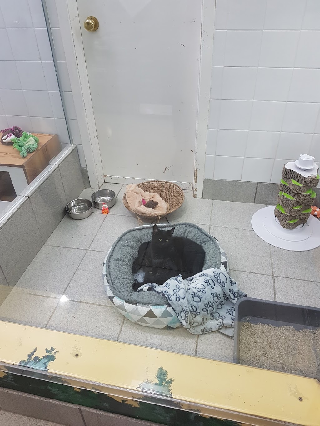 Animalerie Dyno | 8925 Boulevard de lOrmière, Québec, QC G2C 1C4, Canada | Phone: (418) 843-1466