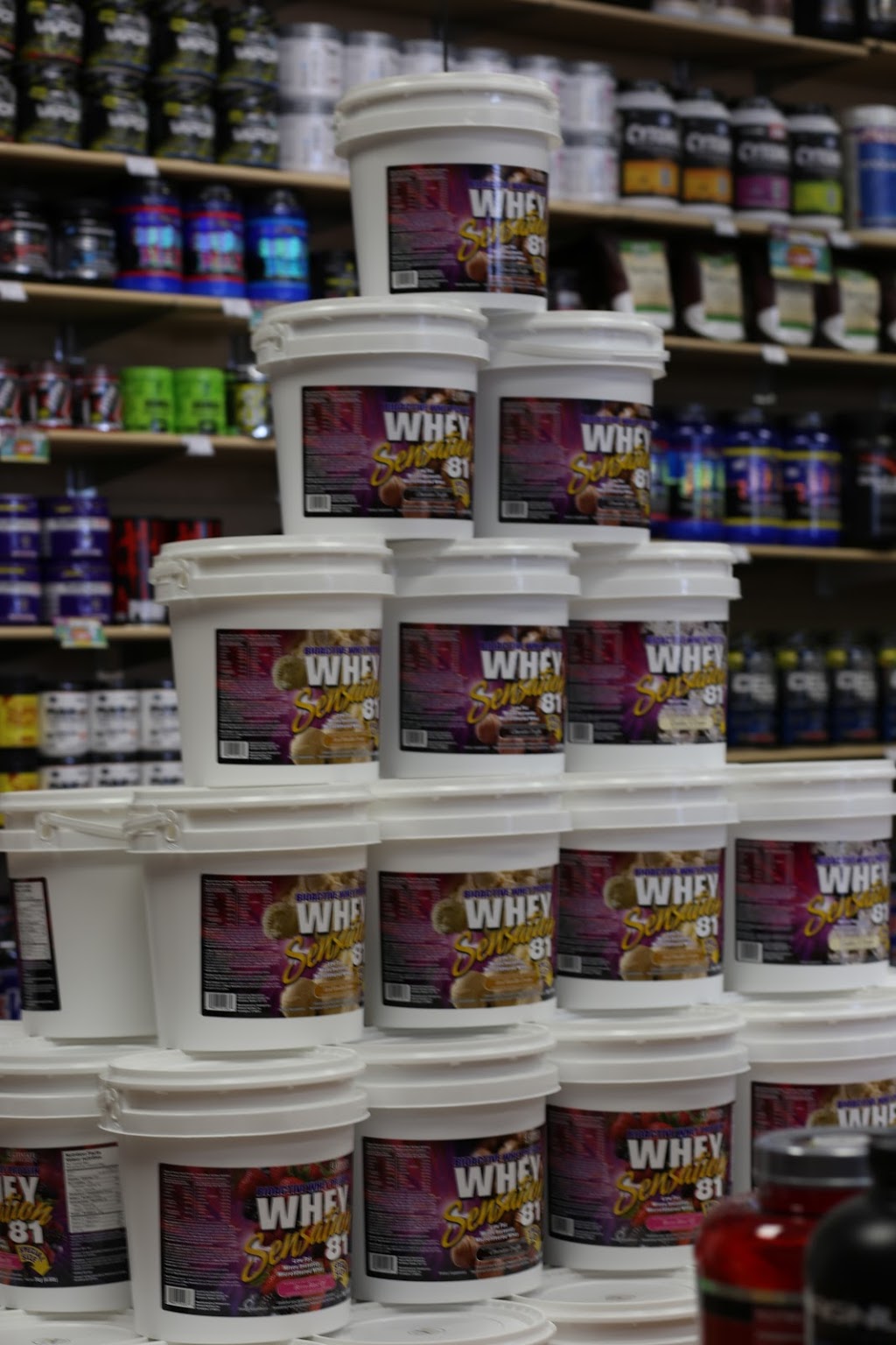 Popeyes Supplements Halifax | 3045 Robie St #6, Halifax, NS B3K 4P6, Canada | Phone: (902) 444-4488
