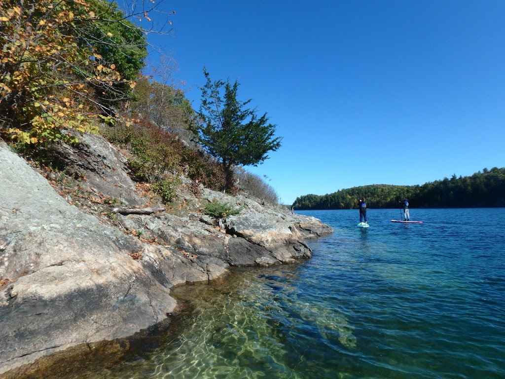 Gould Lake Conservation Area | 1540 Gould Lake Rd, Sydenham, ON K0H 2T0, Canada | Phone: (613) 546-4228