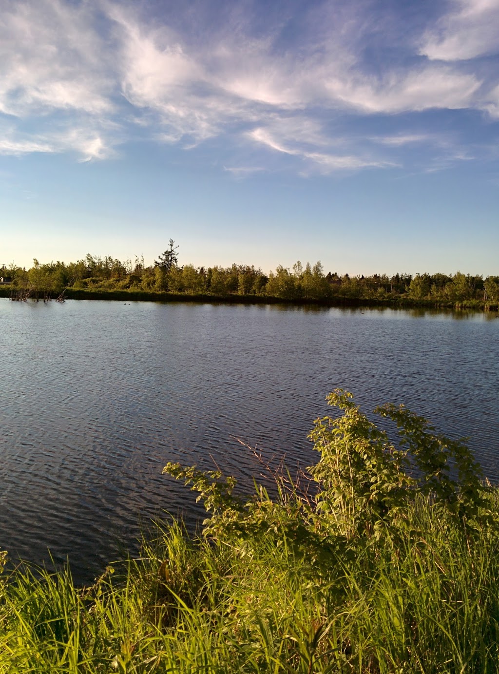 IRVING 24 | 184 King St, Miramichi, NB E1N 2P2, Canada | Phone: (506) 773-5515