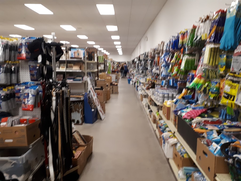 Bargain Harleys | 182 Commercial St, Berwick, NS B0P 1E0, Canada | Phone: (902) 538-7718