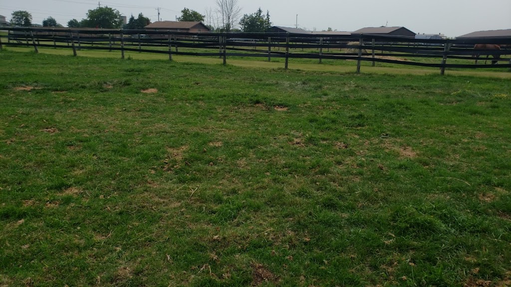 Flatt Ranch Boarding Facility | 2478 Smithville Rd, Smithville, ON L0R 2A0, Canada | Phone: (289) 209-8620