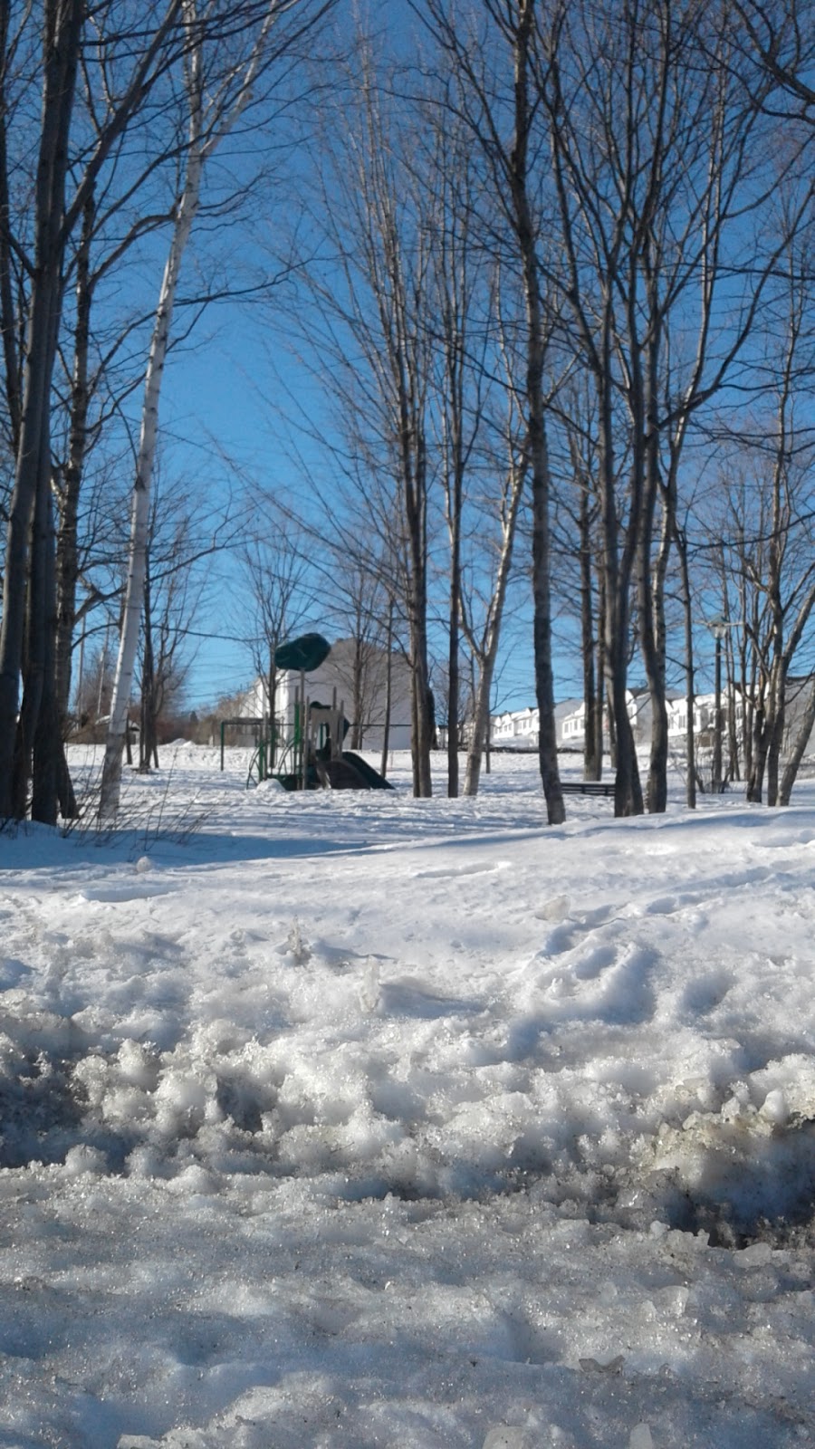 Parc Courteline | Rue Courteline, Québec, QC G3K 2E7, Canada