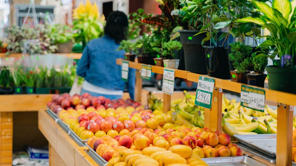 Bills Farm | 45 Overlea Blvd, Toronto, ON M4H 1C3, Canada | Phone: (416) 421-4546