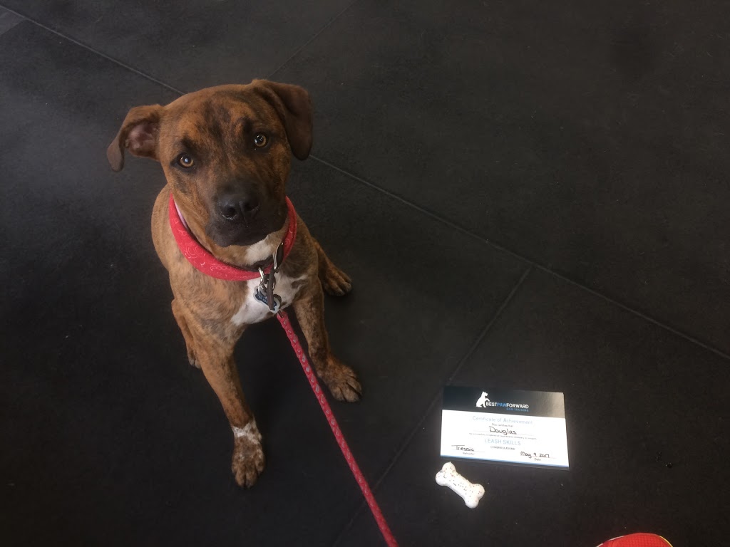 Best Paw Forward Dog Training | 1680 Northfield Rd, Nanaimo, BC V9S 3A9, Canada | Phone: (250) 729-3900