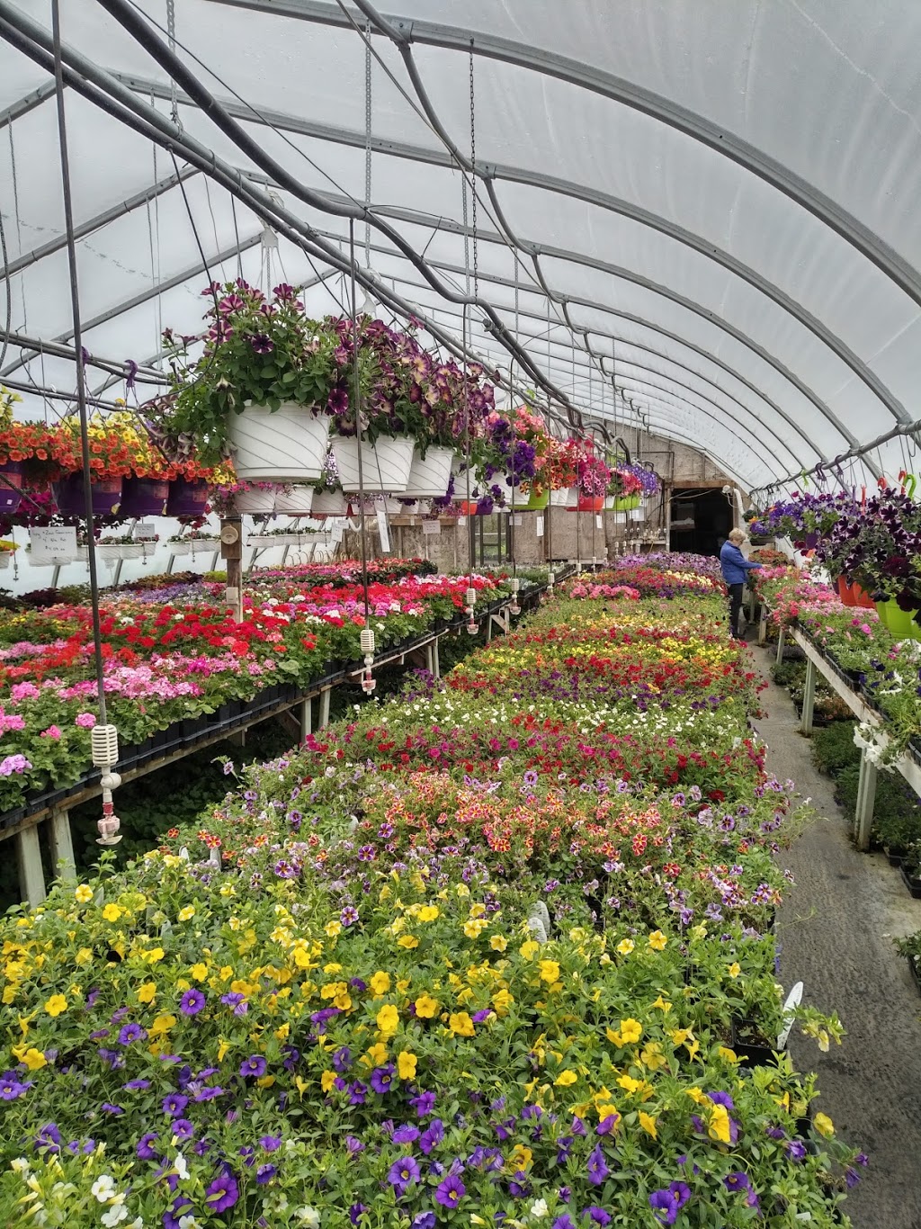 Interlake Garden Center | 287 Quarter Mile Road, 10353 #9 Highway, Winnipeg Beach, MB R0C 3G0, Canada | Phone: (204) 389-3200