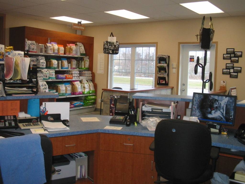 Clinique Vétérinaire De Victoriaville | 545 Rue Gamache, Victoriaville, QC G6P 3T5, Canada | Phone: (819) 758-8178