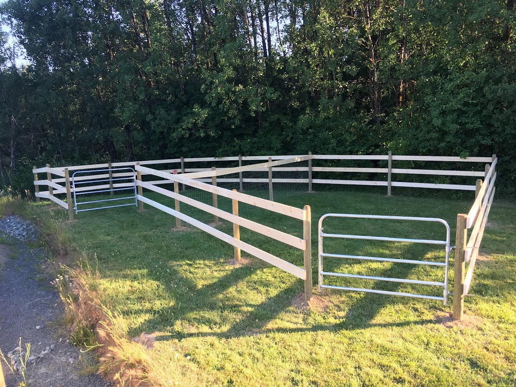 Heart to Heart Farm | 3415 Glenora Rd, Duncan, BC V9L 6S2, Canada | Phone: (250) 597-8902