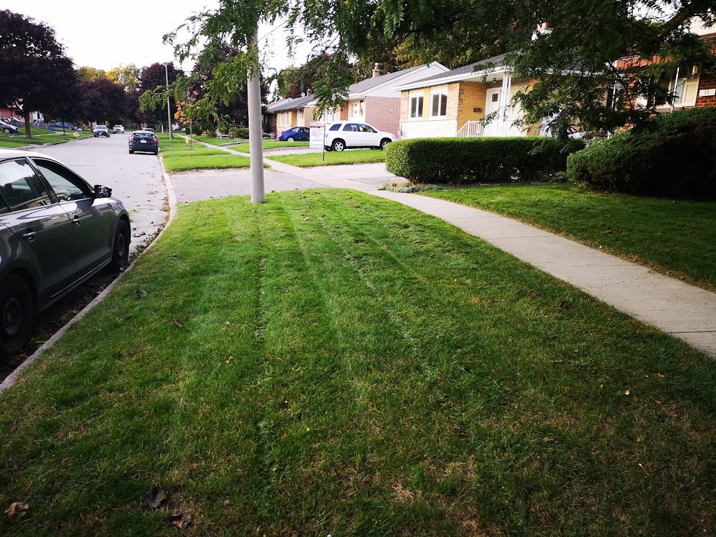 PasKo Property Maintenance | 687 King St W, Oshawa, ON L1J 2L2, Canada | Phone: (905) 809-9612