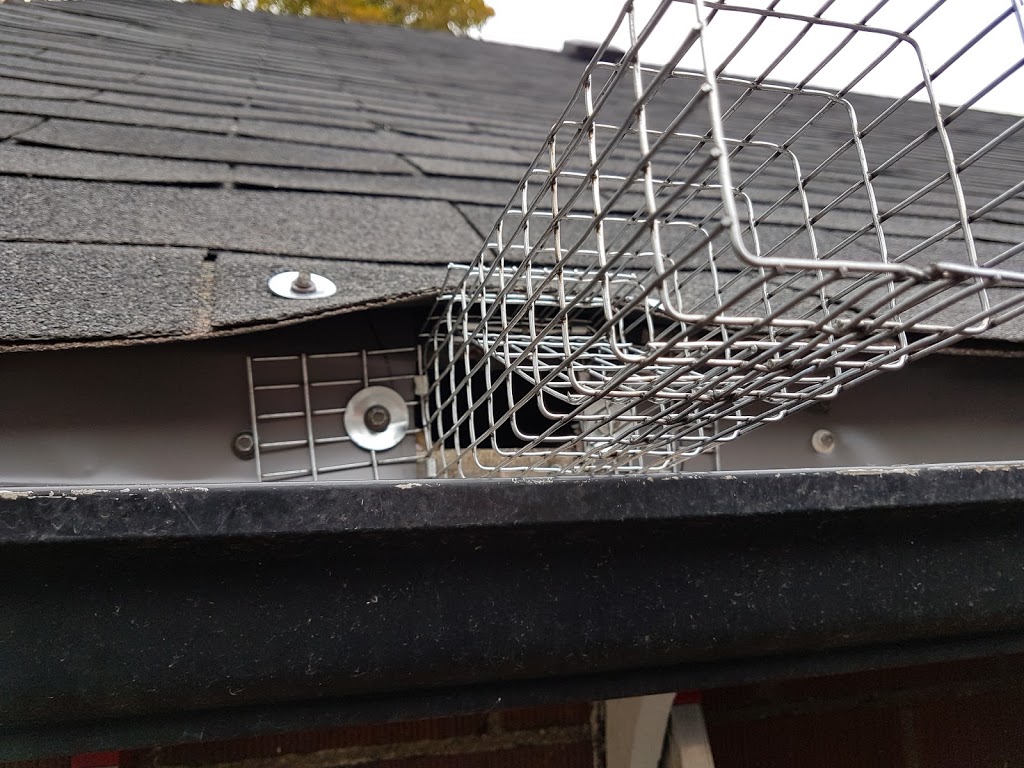 Annex Wildlife Control & Repair | 2831 Kingston Rd, Scarborough, ON M1M 1N2, Canada | Phone: (416) 459-1575