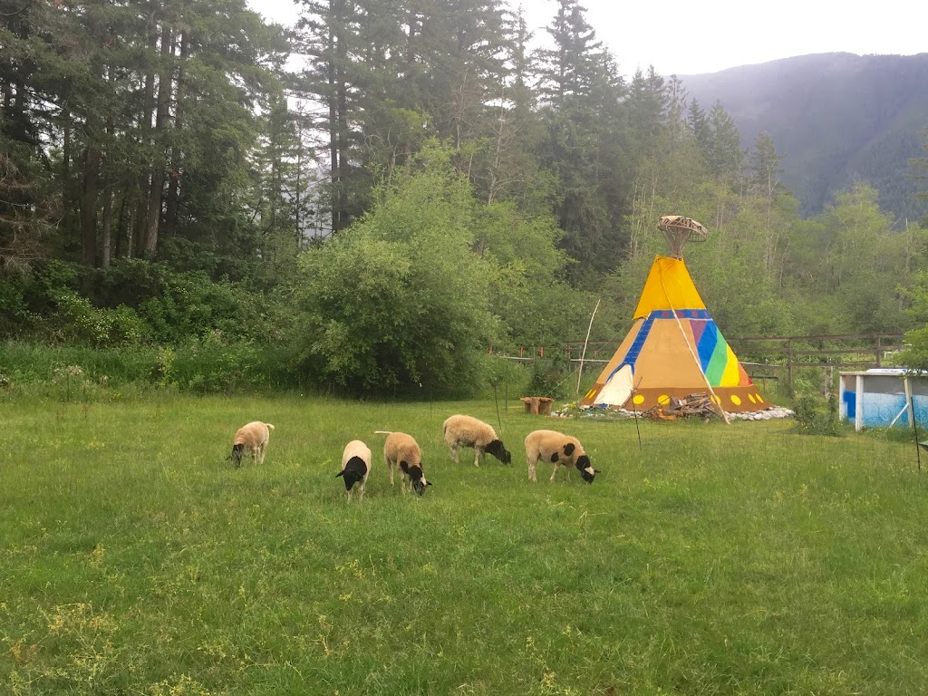 Beaufort Rainbow Farm | 9564 Somers Rd, Port Alberni, BC V9Y 8N9, Canada | Phone: (250) 735-0680