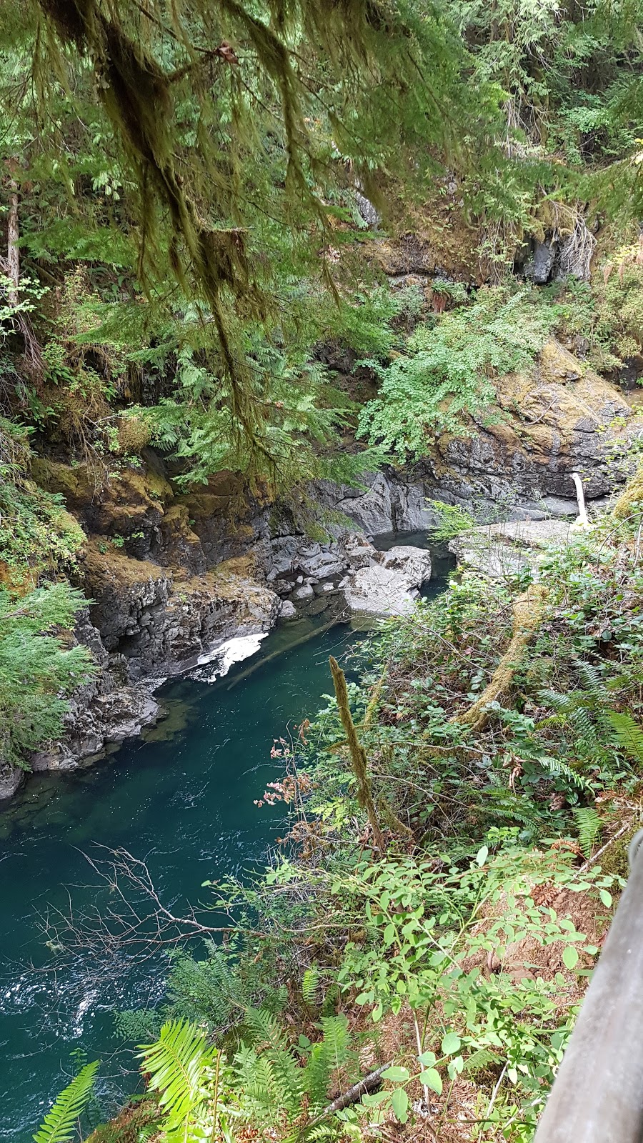 Stamp River Provincial Park | Beaver Creek Rd, Port Alberni, BC, Canada | Phone: (250) 474-1336