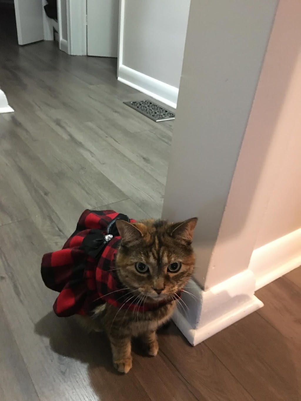 Oshawa Animal Services | 919 Farewell St, Oshawa, ON L1H 6N8, Canada | Phone: (905) 436-3311