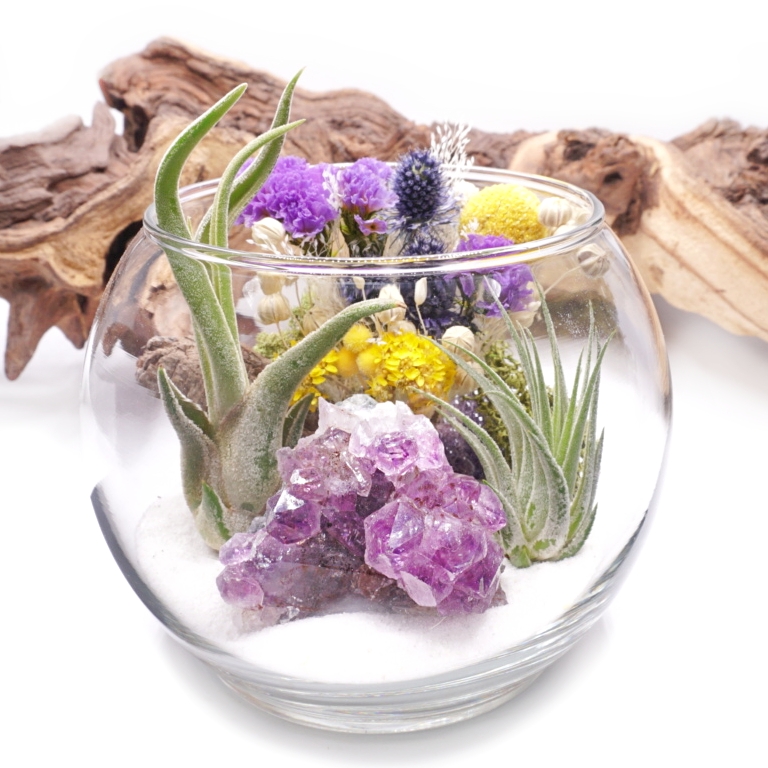 Plant Babies Terrariums | 7905 Rue Tellier, Montréal, QC H1L 6N9, Canada | Phone: (514) 561-7508