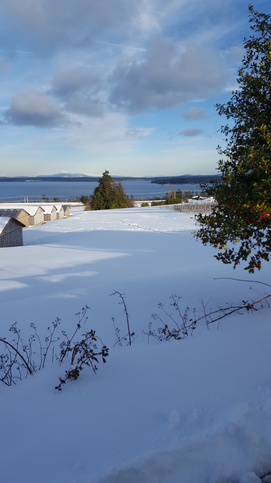 Dominion Brook Park | 8801 E Saanich Rd, North Saanich, BC V8L 1H3, Canada | Phone: (250) 656-0318