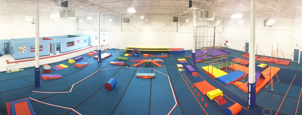 Taylar Gymnastics 889 Westney Rd S Ajax On L1s 3m4 Canada