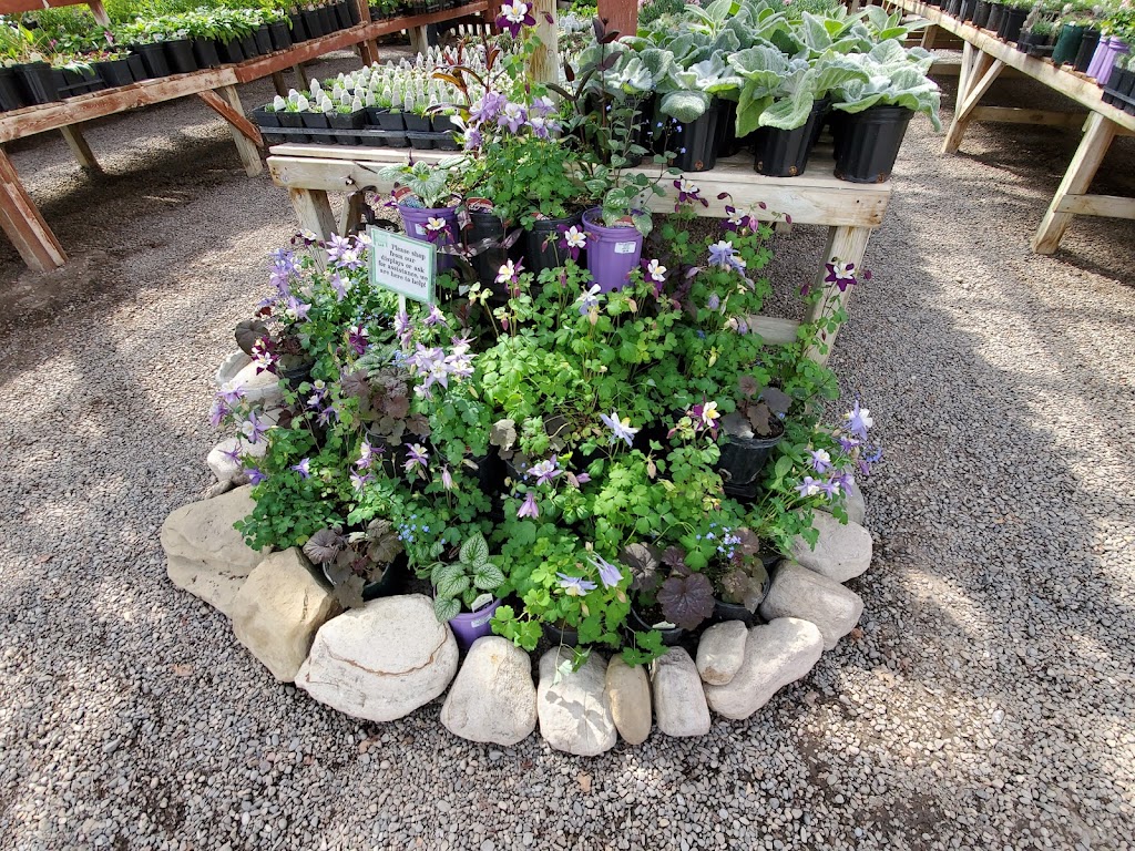 Vales Greenhouse | 301 3 St NW, Black Diamond, AB T0L 0H0, Canada | Phone: (403) 933-4814
