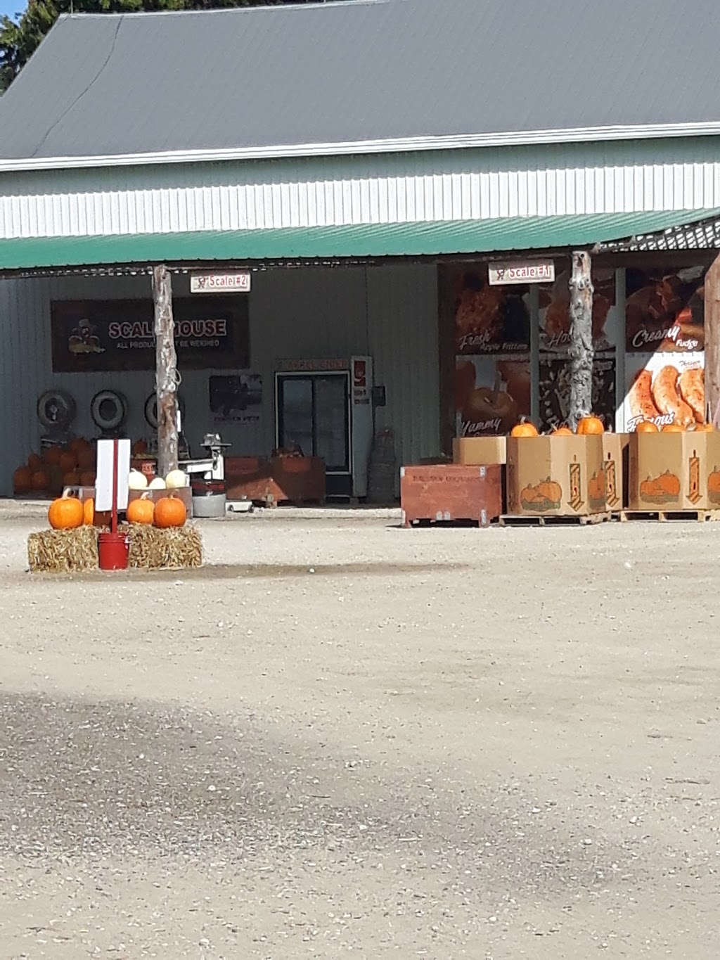 Thiessen Apple Orchard | 400 Talbot Rd E, Leamington, ON N8H 3V6, Canada | Phone: (519) 326-5282