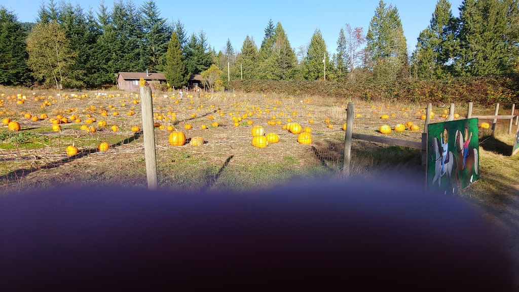 Shady Hazel Farm | 805 Payne Rd, Gibsons, BC V0N 1V7, Canada | Phone: (604) 866-4295