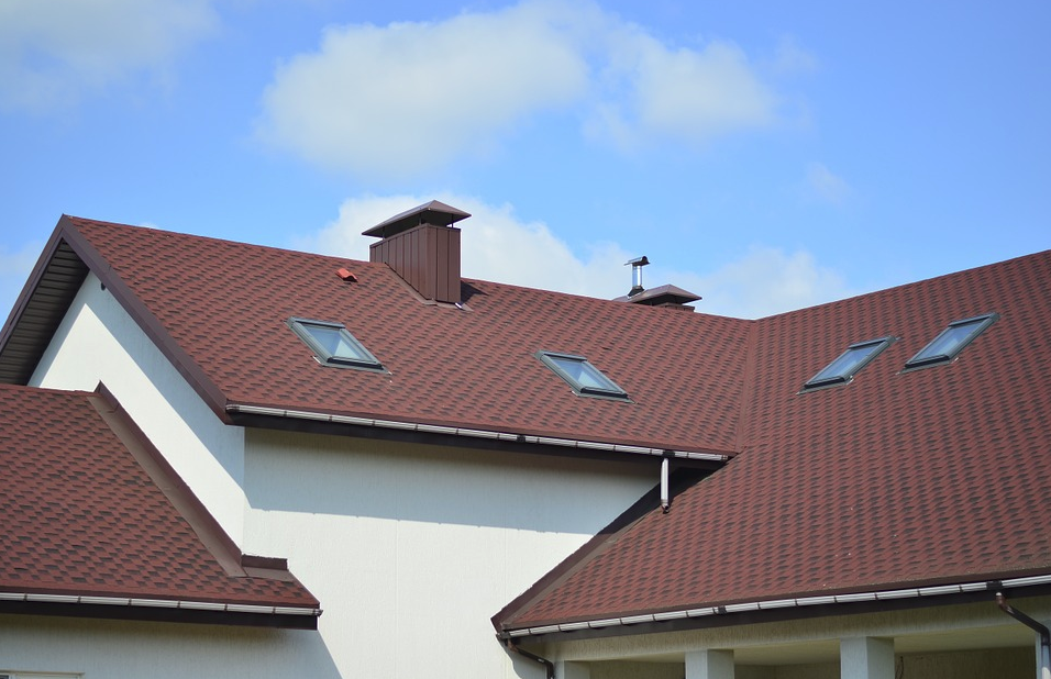 Vancouver Moss Removal | 105-1615 Frances St, Vancouver, BC V5L 1Z3, Canada | Phone: (604) 359-9468