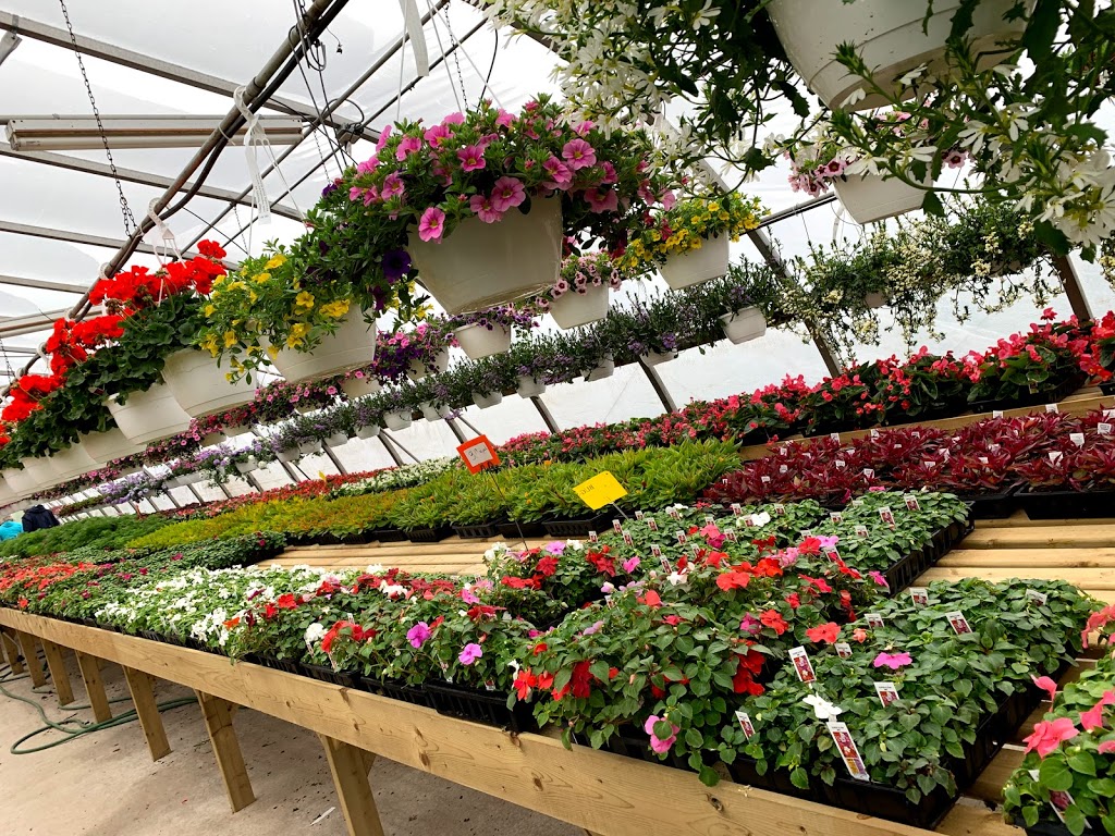 Village Nursery | 430 New Cumberland Rd, Pleasantville, NS B0R 1G0, Canada | Phone: (902) 543-5649