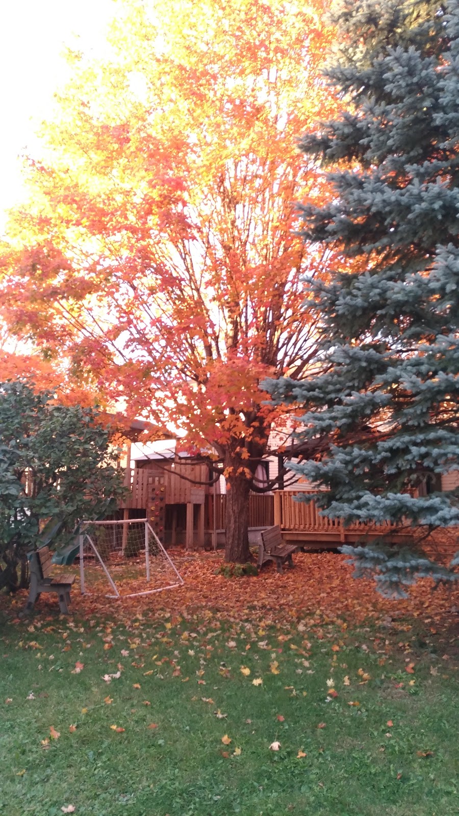 Bridlewood Park | Kanata, ON K2M 2K4, Canada