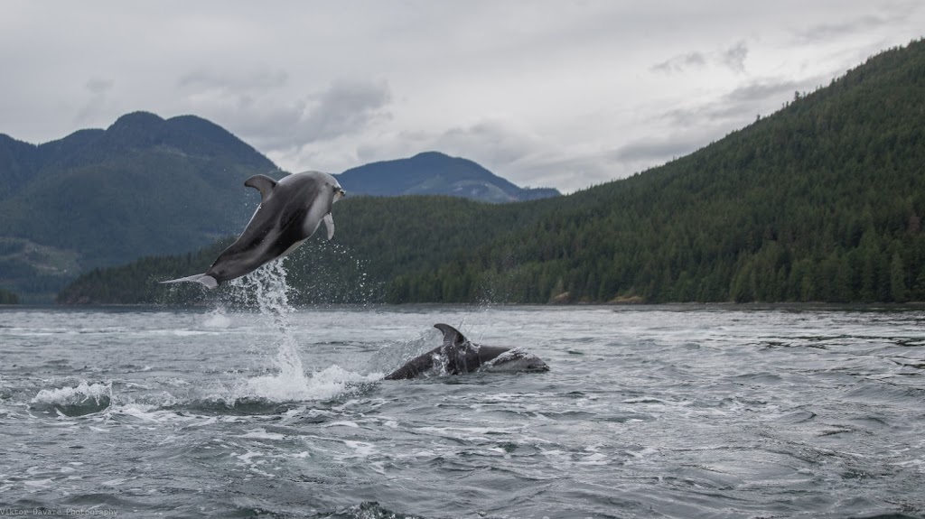 The Cottages at Shoal Bay | Shoal Bay, Thurlow, BC V0P 1B0, Canada | Phone: (250) 287-6818