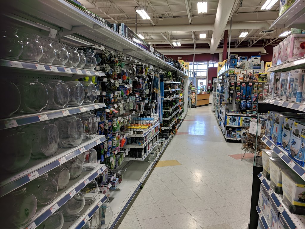 Petland Westhills | 290 Stewart Green SW, Calgary, AB T3H 3C8, Canada | Phone: (403) 686-7929