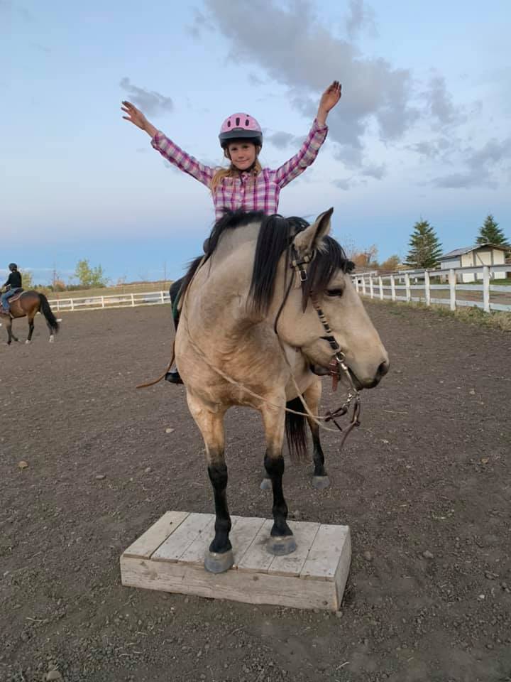 Paradise Acres Ranch | 26212 Township Rd 552, Sturgeon County, AB T8R 2E1, Canada | Phone: (780) 805-6073