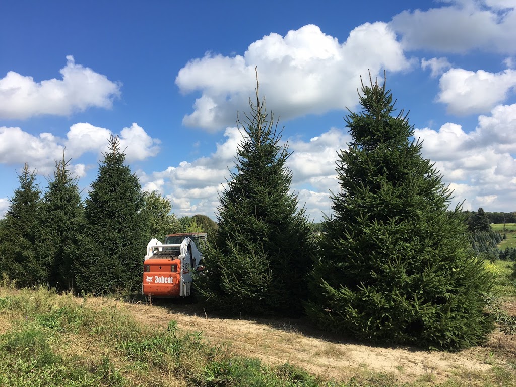 Treemaster Transplanters Ltd. | 3440 17th Sideroad, King City, ON L7B 1K4, Canada | Phone: (905) 773-2221