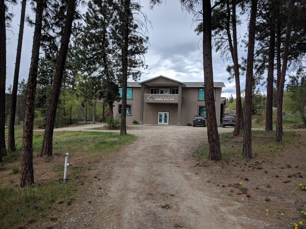 Okanagan Animal Eye Care | 2250 Galiano Rd, Kelowna, BC V1V 2C6, Canada | Phone: (250) 717-3939
