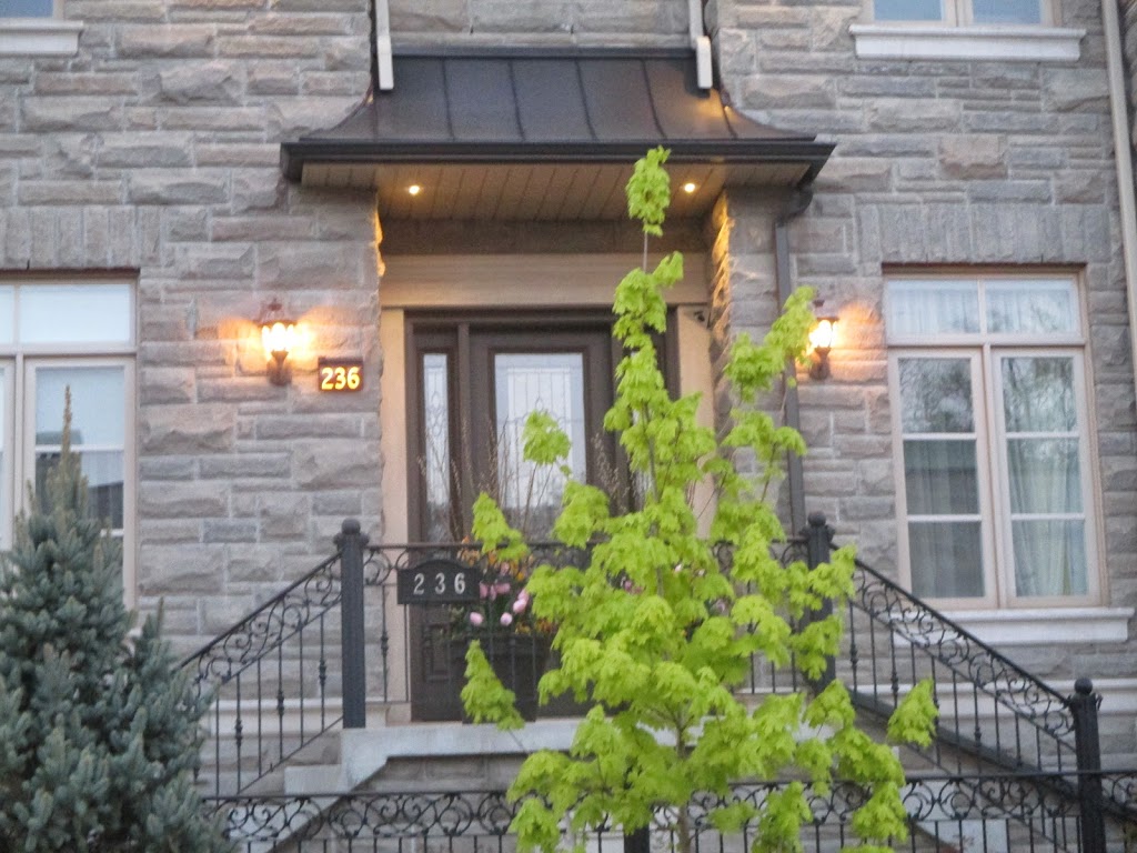 Sight Lights | 61 Baycrest Ave, North York, ON M6A 1V9, Canada | Phone: (844) 887-4448