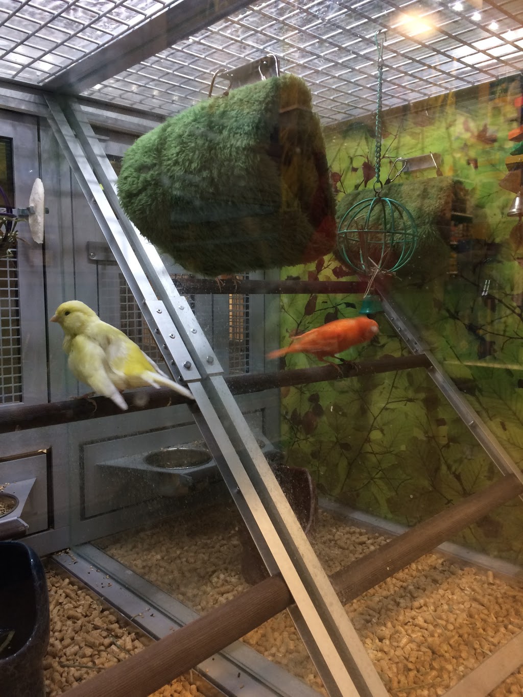 PetSmart | 5095 Yonge St A3, North York, ON M2N 6Z4, Canada | Phone: (416) 223-9103
