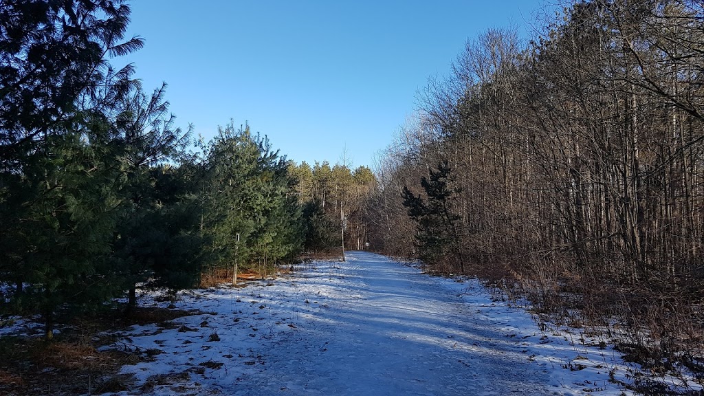 Patterson Tract | 15461 McCowan Rd, Whitchurch-Stouffville, ON L4A 0B1, Canada