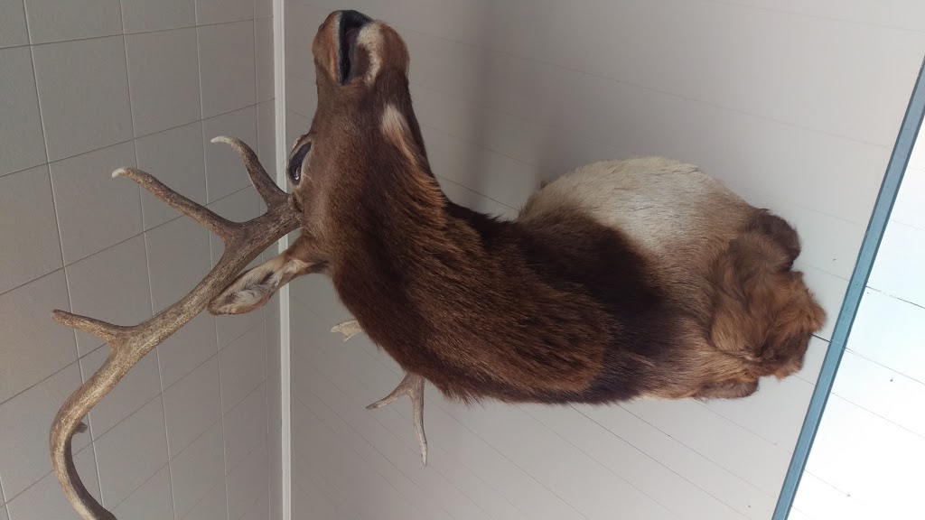Pêcheurs & Chasseurs Montréal | 130 Chemin du Ruisseau-des-Noyers, Saint-Jean-sur-Richelieu, QC J2Y 1G9, Canada | Phone: (450) 348-5566
