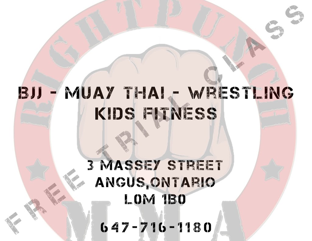 RightPunch MMA | 3 Massey St unit #7, Angus, ON L0M 1B0, Canada | Phone: (647) 807-1180