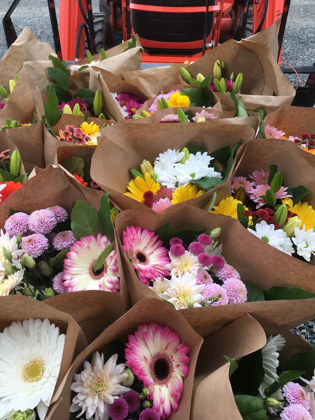 Van Gameren Flowers | 49691 Chilliwack Central Rd, Chilliwack, BC V2P 6H3, Canada | Phone: (604) 819-5486