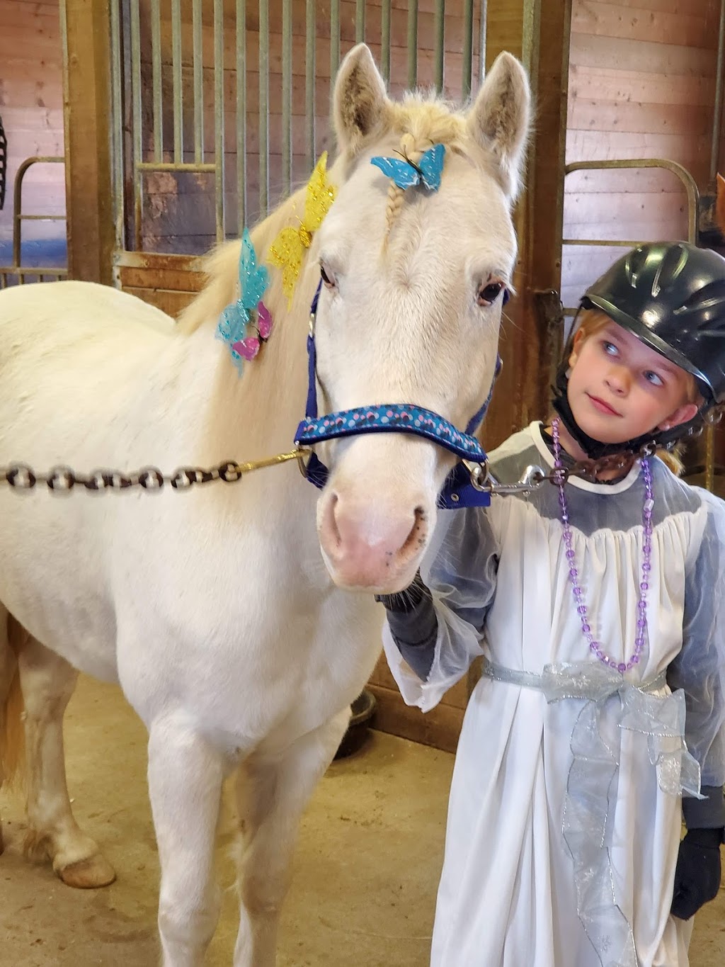 JL Equestrian Centre | 1110 Huron Rd, Petersburg, ON N0B 2H0, Canada | Phone: (226) 808-3518