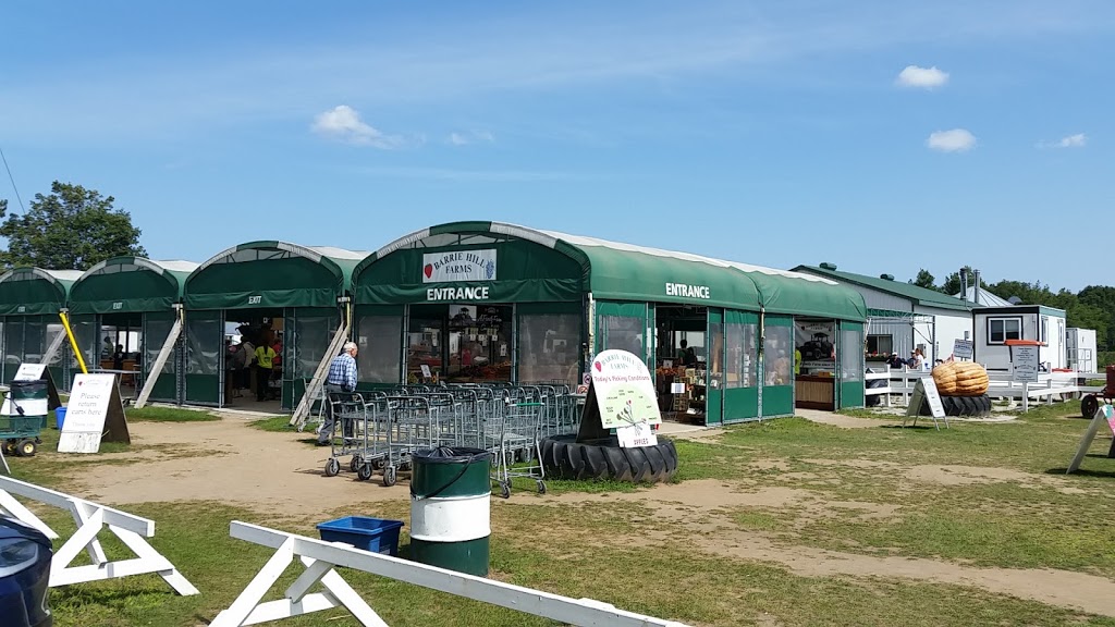 Barrie Hill Farms | 2935 Barrie Hill Rd, Springwater, ON L9X 1S8, Canada | Phone: (705) 728-0571