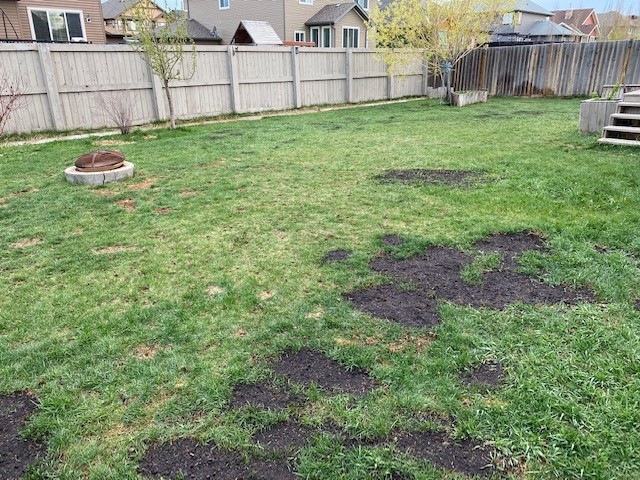 Green Drop Lawns Ltd | 1230 Meridian Rd NE, Calgary, AB T2A 2N9, Canada | Phone: (877) 647-3366