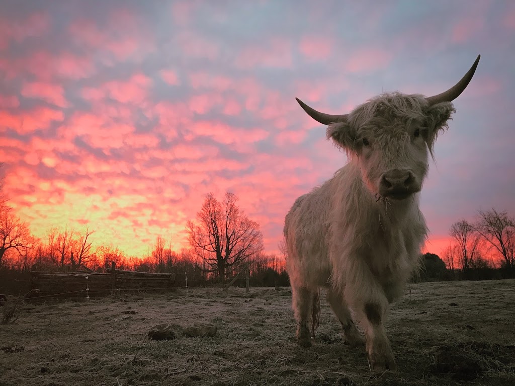 Flycreek Farm | 9887 Flycreek Rd, North Augusta, ON K0G 1R0, Canada | Phone: (613) 246-1884