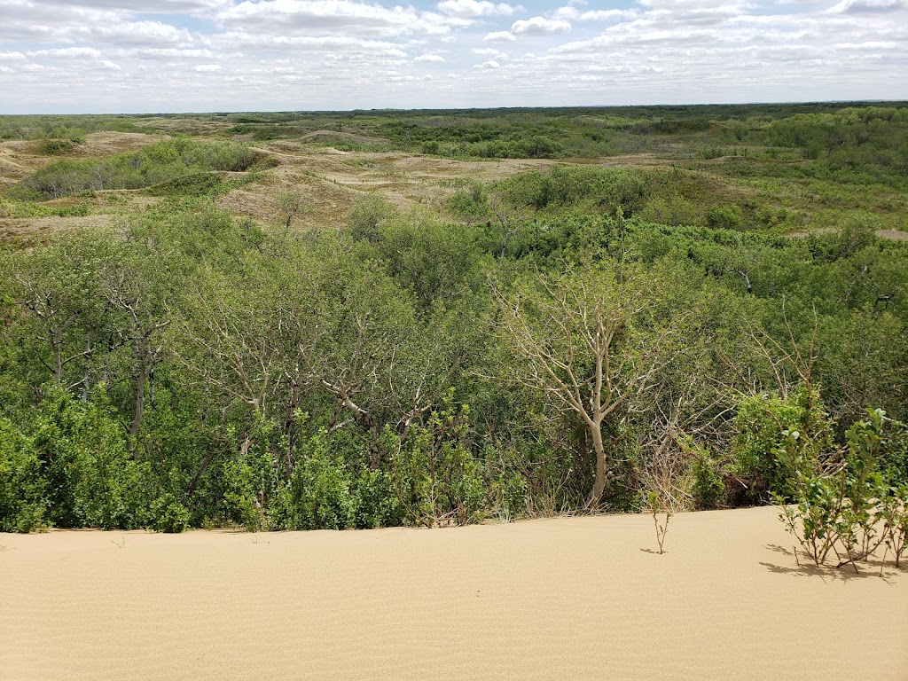 Douglas Provincial Park Campground | Unnamed Road, Elbow, SK S0H 1J0, Canada | Phone: (306) 854-6266