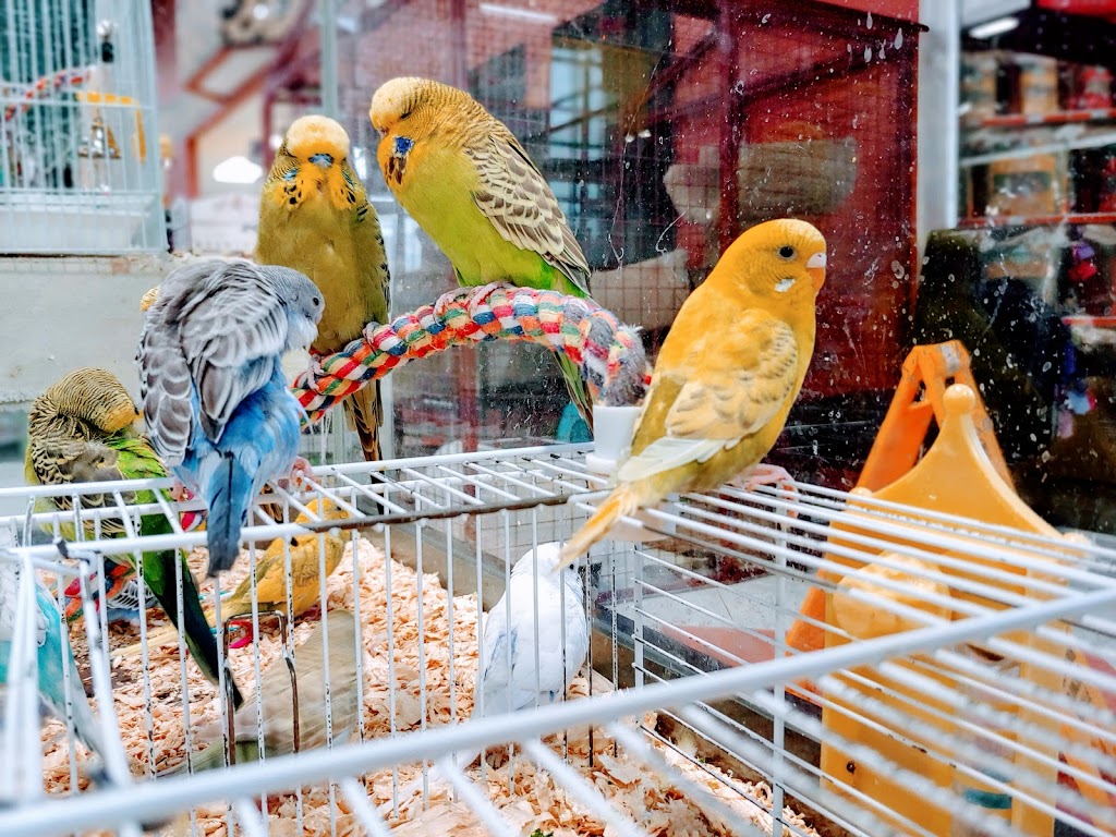 Petland | 130 Country Village Rd NE #323, Calgary, AB T3K 5Z2, Canada | Phone: (403) 226-4045