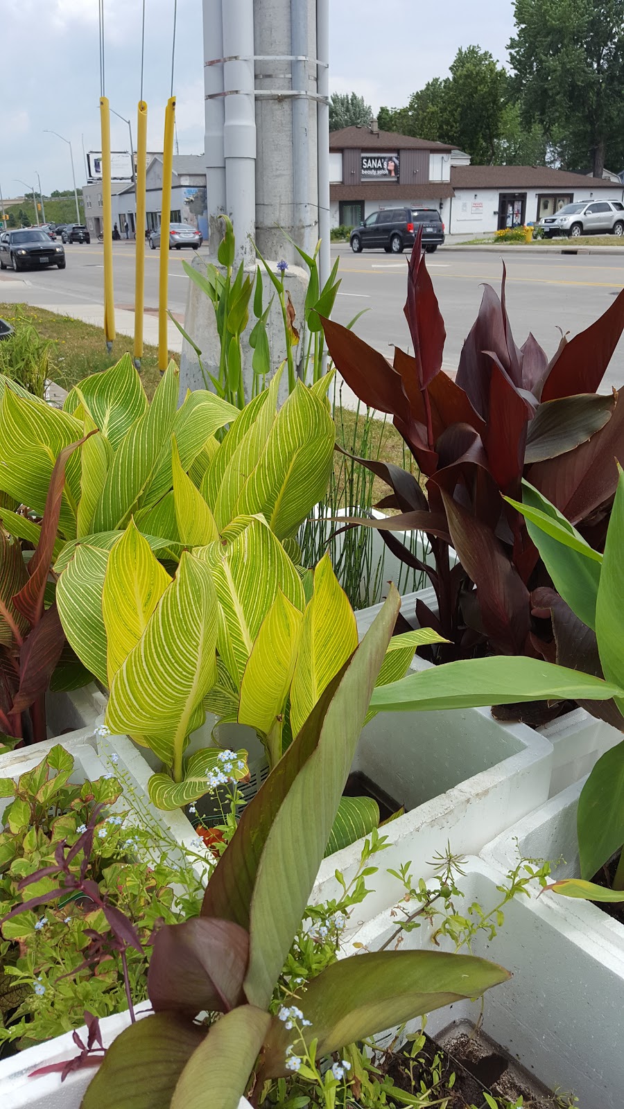 Corbrets Pet and Pond Depot | 3165 Walker Rd, Windsor, ON N8W 3R6, Canada | Phone: (519) 972-4777