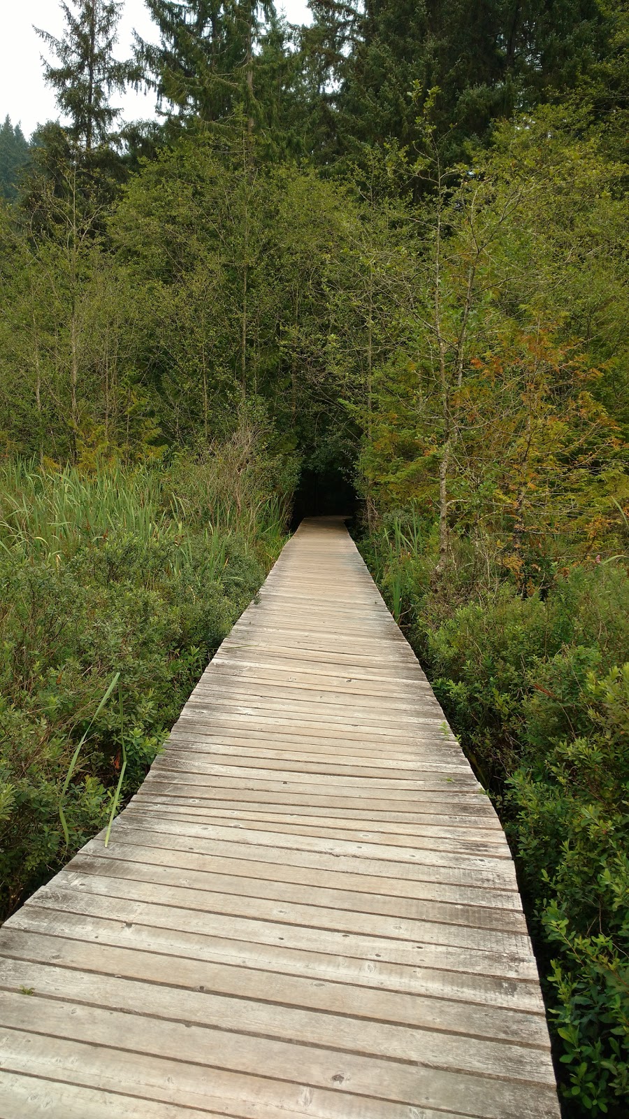 Crippen Regional Park | 430 Bowen Island Trunk Rd #2, Bowen Island, BC V0N 1G0, Canada | Phone: (604) 224-5739