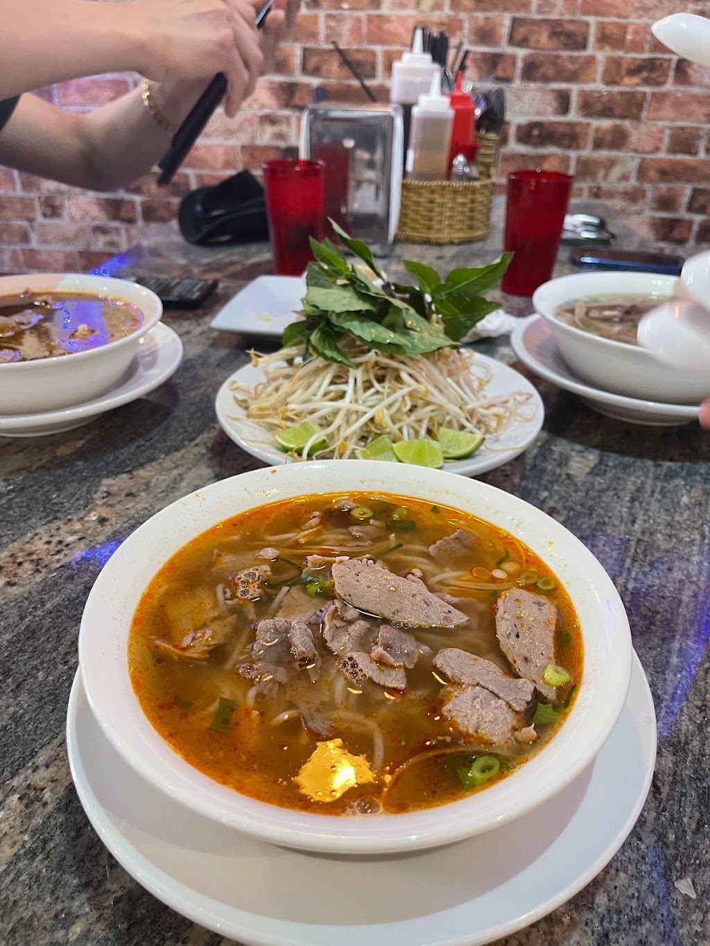 Pho Dinosaur Vietnamese restaurant | 1102a AB-9, Drumheller, AB T0J 0Y0, Canada | Phone: (403) 856-0665