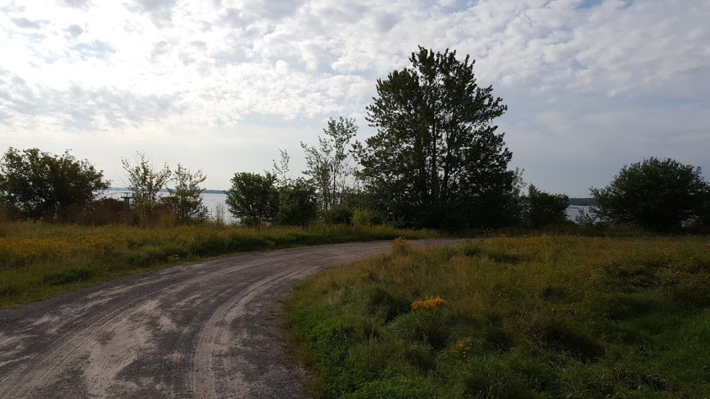 Innis Point Bird Observatory | Letson Rd, Ottawa, ON K0A 1T0, Canada