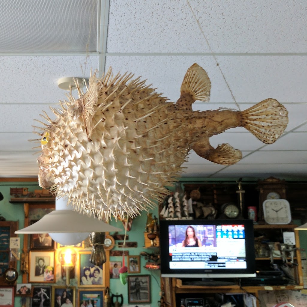 Fils Cafe | 353 Duckworth St, Barrie, ON L4M 2R2, Canada | Phone: (705) 726-7818