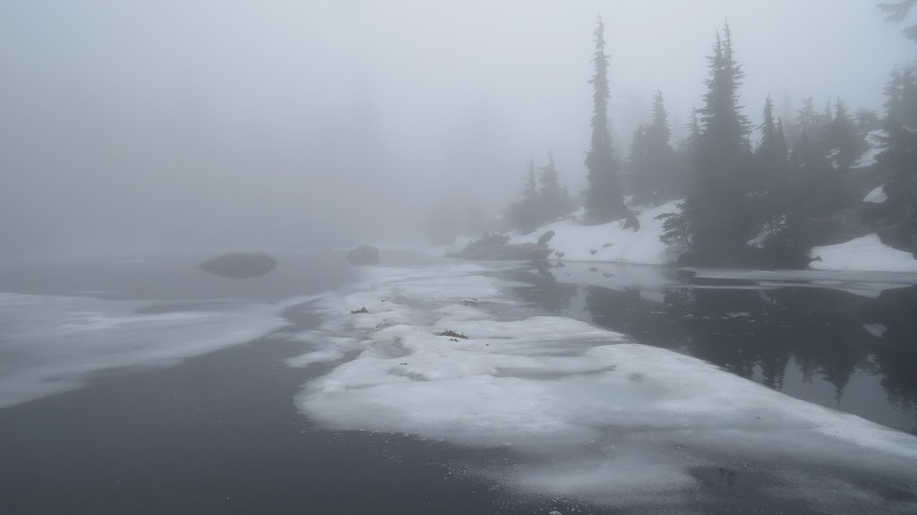 Mystery Lake Trail | Seymour mountain, Mystery Lake hike, North Vancouver, BC V7G 1L3, Canada